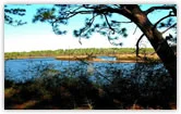 black bear bayou listings